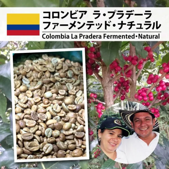 LIMITED - Colombia La Pradera – Fermented Natural | Medium-Dark Roast 100 Grams  ( 7-10 Cups)