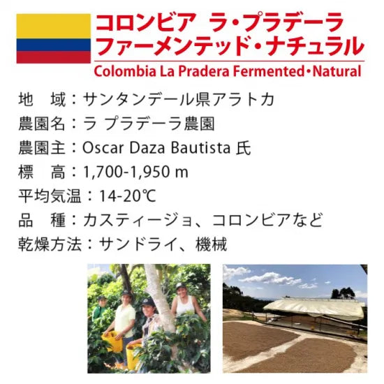 LIMITED - Colombia La Pradera – Fermented Natural | Medium-Dark Roast 100 Grams  ( 7-10 Cups)