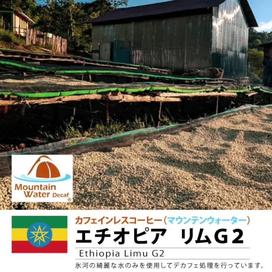 LIMITED Caffeine-Free Ethiopia Limu G2 (Decaf) 100 Grams ( 7-10 Cups)