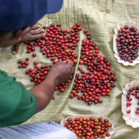 UGANDA- MT ELGON  - MEDIUM - 200 Grams (15-20 Cups)