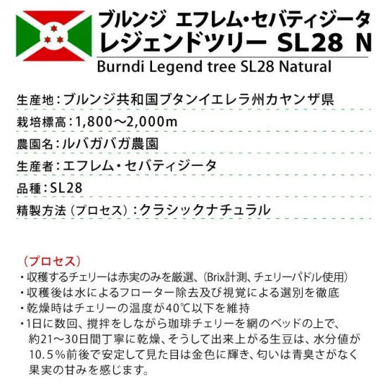 LIMITED - BURUNDI Ephrem Sebatigita Legend Tree SL28 Natural -100 Grams ( 7-10 Cups)