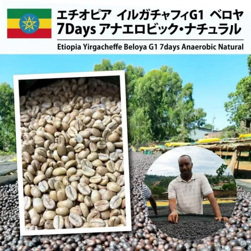 Ethiopia Yirgacheffe Beroya – Anaerobic Natural | Medium Roast 200Grams (15-20Cups)