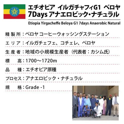 Ethiopia Beloya - Fermented - Single Origin 100g