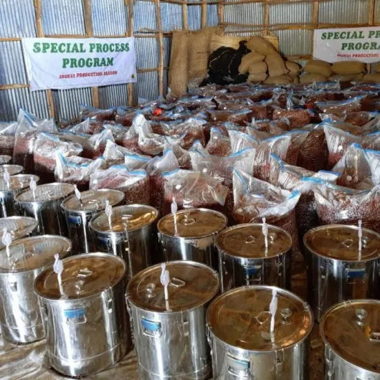 Ethiopia Yirgacheffe Beroya – Anaerobic Natural | Medium Roast 200Grams (15-20Cups)