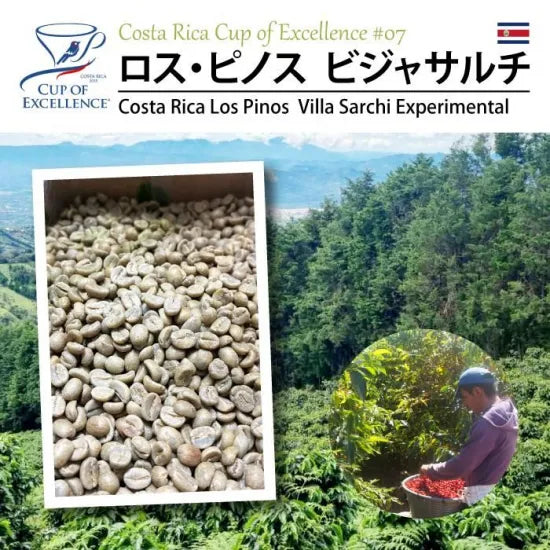 LIMITED - COE 2025 COSTA RICA Los Pinos Villa Sarchi - Reposado 100 Grams ( 7-10 Cups)