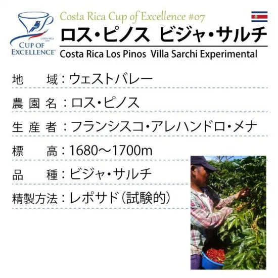 LIMITED - COE 2025 COSTA RICA Los Pinos Villa Sarchi - Reposado 100 Grams ( 7-10 Cups)