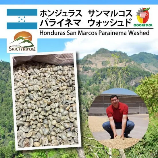 LIMITED - Honduras San Marcos – Parainema Washed | Dark Roast 100 grams ( 7-10 Cups)