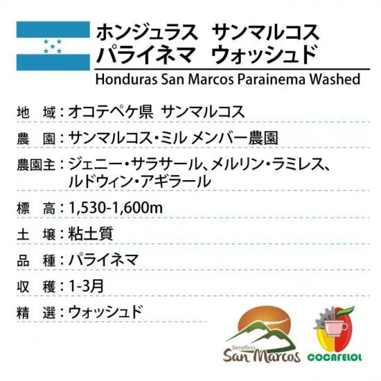 LIMITED - Honduras San Marcos – Parainema Washed | Dark Roast 100 grams ( 7-10 Cups)