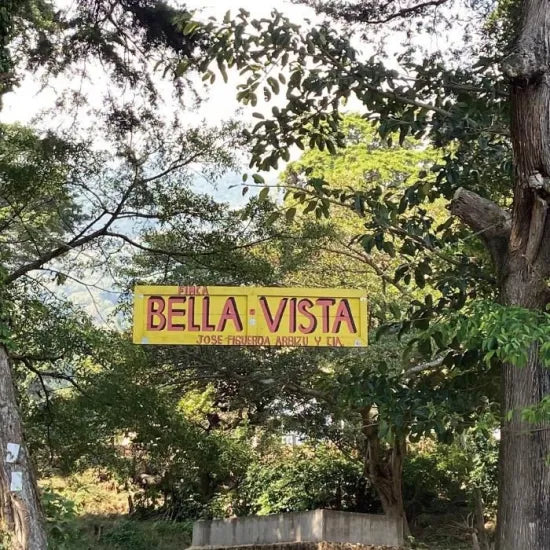 EL SALVADOR - FINCA BELLA VISTA - Dark - 200 Grams (15-20 Cups)