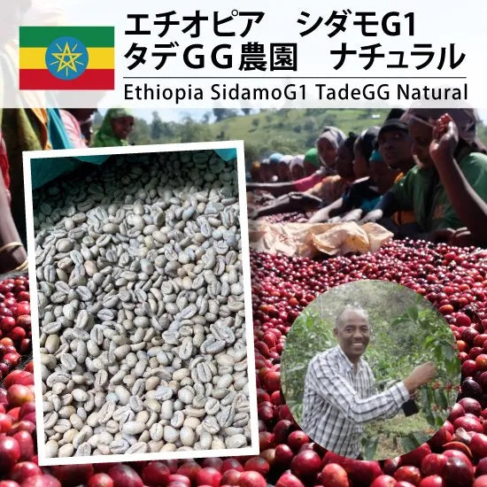 ETHIOPIA - SIDAMO TADE  -Medium - 200 Grams (15-20 Cups)