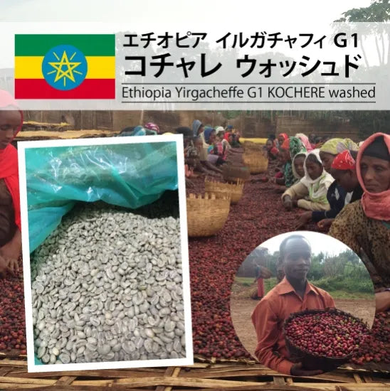 ETHIOPIA -  YIRGACHEFFE G1 KOCHERE - Dark - 200 Grams (15-20 Cups)