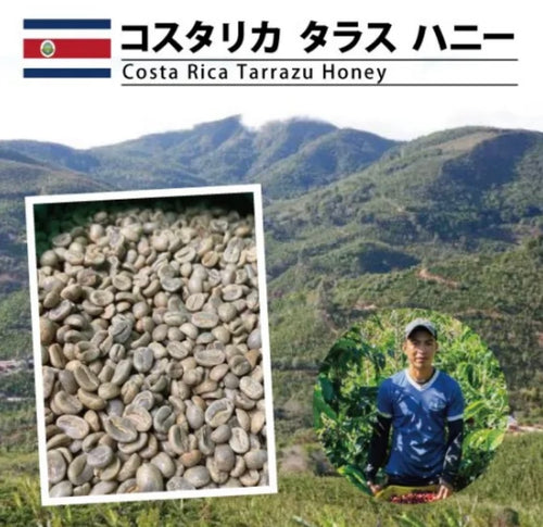 COSTA RICA- TARRAZU - MEDIUM - 200 Grams (15-20 Cups)